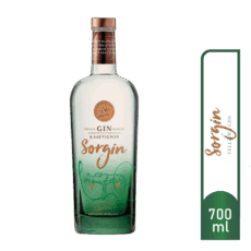 SORGIN