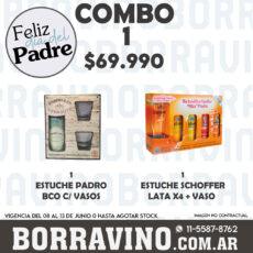 Combo 1 (Vinos y Cervezas)