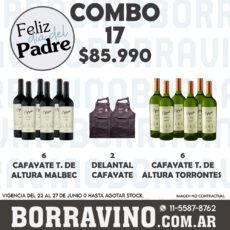 COMBO 17 VINOS  CAFAY. T DE ALTURA : MALB. (6) + TORR. (6) + DELANTAL (2)