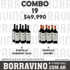 COMBO 19 VINOS  PORTILLO: CAB. SAUV. (6) + MALBEC (6)