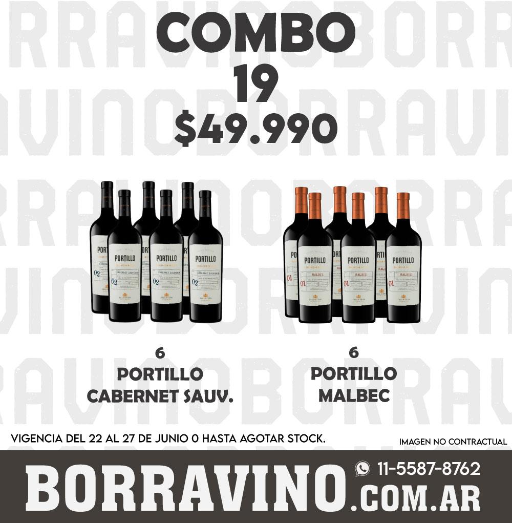 COMBO 19 VINOS PORTILLO: CAB. SAUV. (6) + MALBEC (6)
