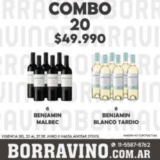 COMBO 20 VINOS  BENJAMIN: MALBEC (6) + BLANCO TARDIO (6)