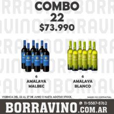 COMBO 22 VINOS  AMALAYA: MALBEC (6) + BLANCO (6)