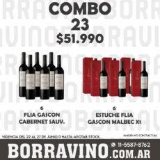 COMBO 23 VINOS  FAMILIA GASCON: CAB. SAUV. (6) + EST. MALB X1 (6)