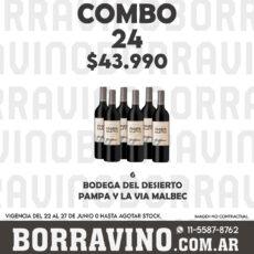COMBO 24 VINOS  BODEGA DESIERTO PAMPA Y LA VIA MALBEC (6)