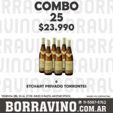 COMBO 25 VINOS  ETCHART PRIVADO TORRONTES (6)