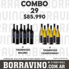 COMBO 29 VINOS  TRUMPETER: MALBEC (6) + CHARDONNAY (6)