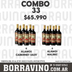 COMBO 33 VINOS  ALAMOS: MALBEC (6) + CAB SAUV (6)