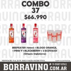 COMBO 37  BEEFEATER: ORANGE(1) + PINK(1) + BLACKB.(1) + ECOVASOS(3)