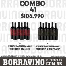 COMBO 41 VINOS  FABRE TERRUÑO: MALBEC (6) + CAB FRANC(6)