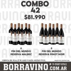 COMBO 42 VINOS  FIN MUNDO RVA: MALBEC (6) + PINOT NOIR (6)