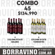 COMBO 45 VINOS  COLOME ESTATE: MALBEC (6) + TORRONTES (6)
