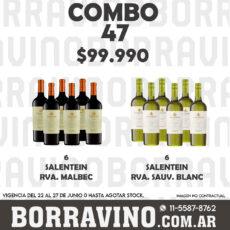 COMBO 47 VINOS  SALENTEIN RVA.: MALBEC (6) + SAUV. BLANC (6)