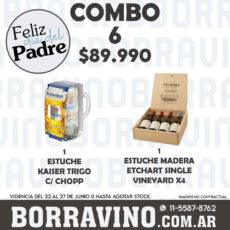 COMBO 06 VINOS  ESTUCHES: CHOPP KAISER TRIGO (1) + ETCHART SV EST. MADERA X4(1)