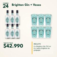 COMBO 24  GIN BRIGHTON (6) + VASO POLIPAPEL (6)