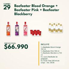 COMBO 29  BEEF.: ORAN.(1)+PINK(1)+BLACKB.(1)+POLIP.(6)+FEVER TREE 200ML S/CARGO (6)