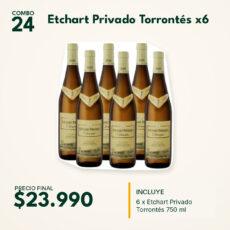 COMBO 24 VINOS  ETCHART PRIVADO TORRONTES (6)