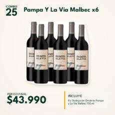 COMBO 25 VINOS  BODEGA DESIERTO PAMPA Y LA VIA MALBEC (6)