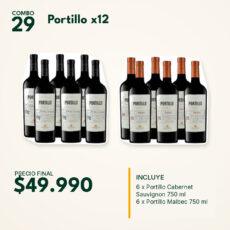 COMBO 29 VINOS  PORTILLO: CAB. SAUV. (6) + MALBEC (6)