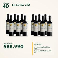 COMBO 40 VINOS  LA LINDA: MALBEC (6) + RED BLEND (6)