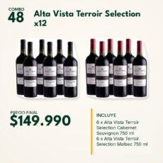 COMBO 48 VINOS  ALTA VISTA TERROIR SEL.: MALBEC (6) + CAB. SAUV. (6)