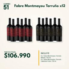 COMBO 51 VINOS  FABRE TERRUÑO: MALBEC (6) + CAB FRANC(6)