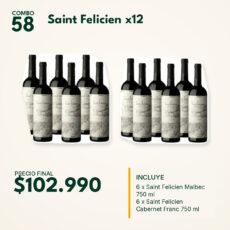 COMBO 58 VINOS  SAINT FELICIEN: CAB FRANC (6) + MALBEC (6)