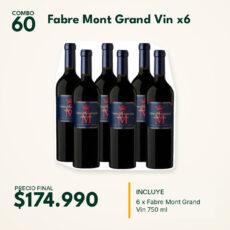 COMBO 60 VINOS  FABRE GRAND VIN (6)