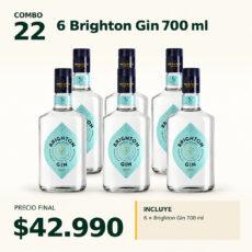 COMBO DESTILADOS 22 — 6 × Brighton Gin 700 ml