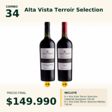 Combo 34 Alta Vista Terroir Selection: Cab. Sauv. x6 + Malbec x6